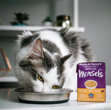 Stella & Chewy's Marvelous Morsels Cage Free Turkey Recipe Wet Cat Food