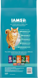 Iams Proactive Health Indoor Weight and Hairball Care Dry Cat Food