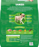 Iams ProActive Health Adult Large Breed Dry Dog Food