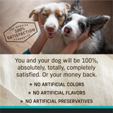 Merrick Grain Free 96% Real Duck Canned Dog Food