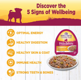 Wellness Petite Entrees Casserole Grain Free Natural Tender Chicken Recipe Wet Dog Food