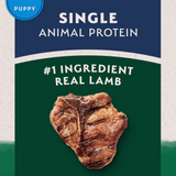 Natural Balance Limited Ingredient Lamb & Brown Rice Puppy Recipe Dry Dog Food