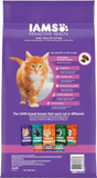 Iams ProActive Health Kitten Chicken Recipe Dry Cat Food