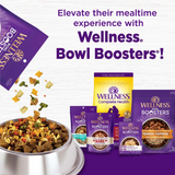 Wellness CORE Bowl Boosters Skin & Coat Dry Dog Food Topper