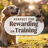 Merrick Power Bites Real Texas Beef Recipe Dog Treats