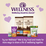 Wellness Kittles Crunchy Salmon & Cranberry Cat Treats