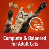 Friskies Party Mix Crunch Gravylicious Chicken & Gravy Flavors Cat Treats