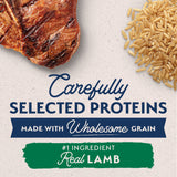 Natural Balance Limited Ingredient Lamb & Brown Rice Large Breed Recipe Dry Dog Food